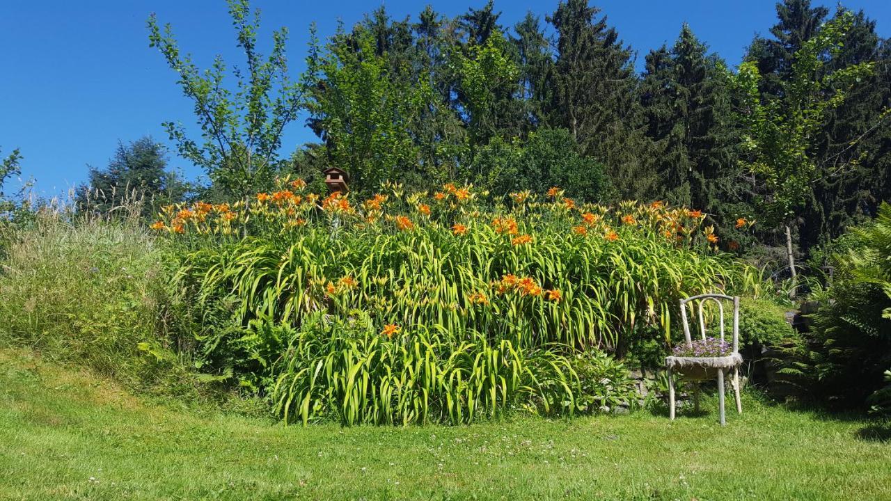 La Pommeraie - Le Coin Ardenne * Sainte-Ode